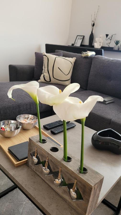 קראלג'בו Apartman Riva מראה חיצוני תמונה