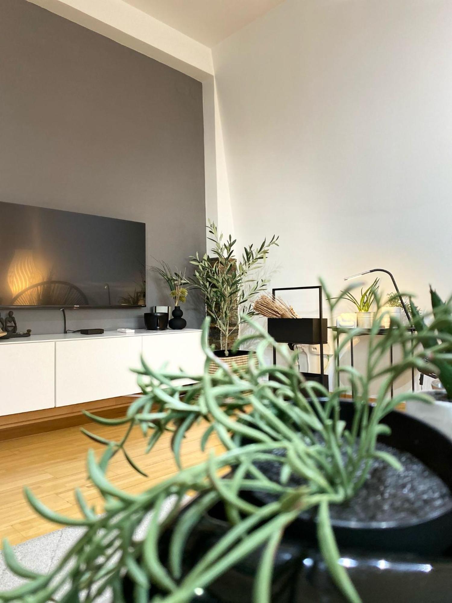 קראלג'בו Apartman Riva מראה חיצוני תמונה